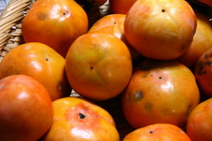 隣の柿は美味しい柿だ 隣の柿は美味しい柿だ