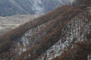 スパー林道より