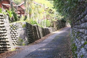 石垣のある道